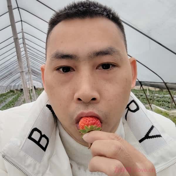 德阳征婚相亲网